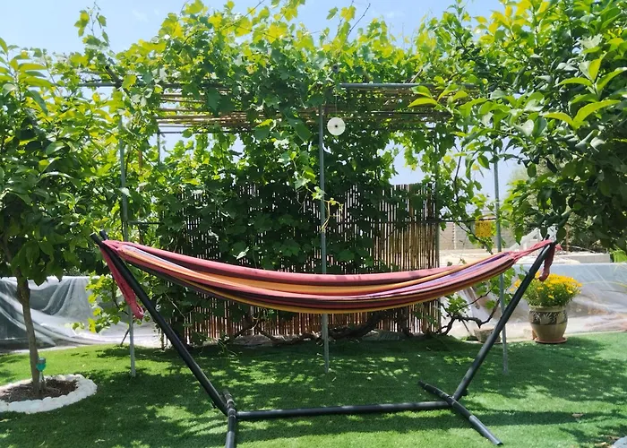 קסם עין כרם