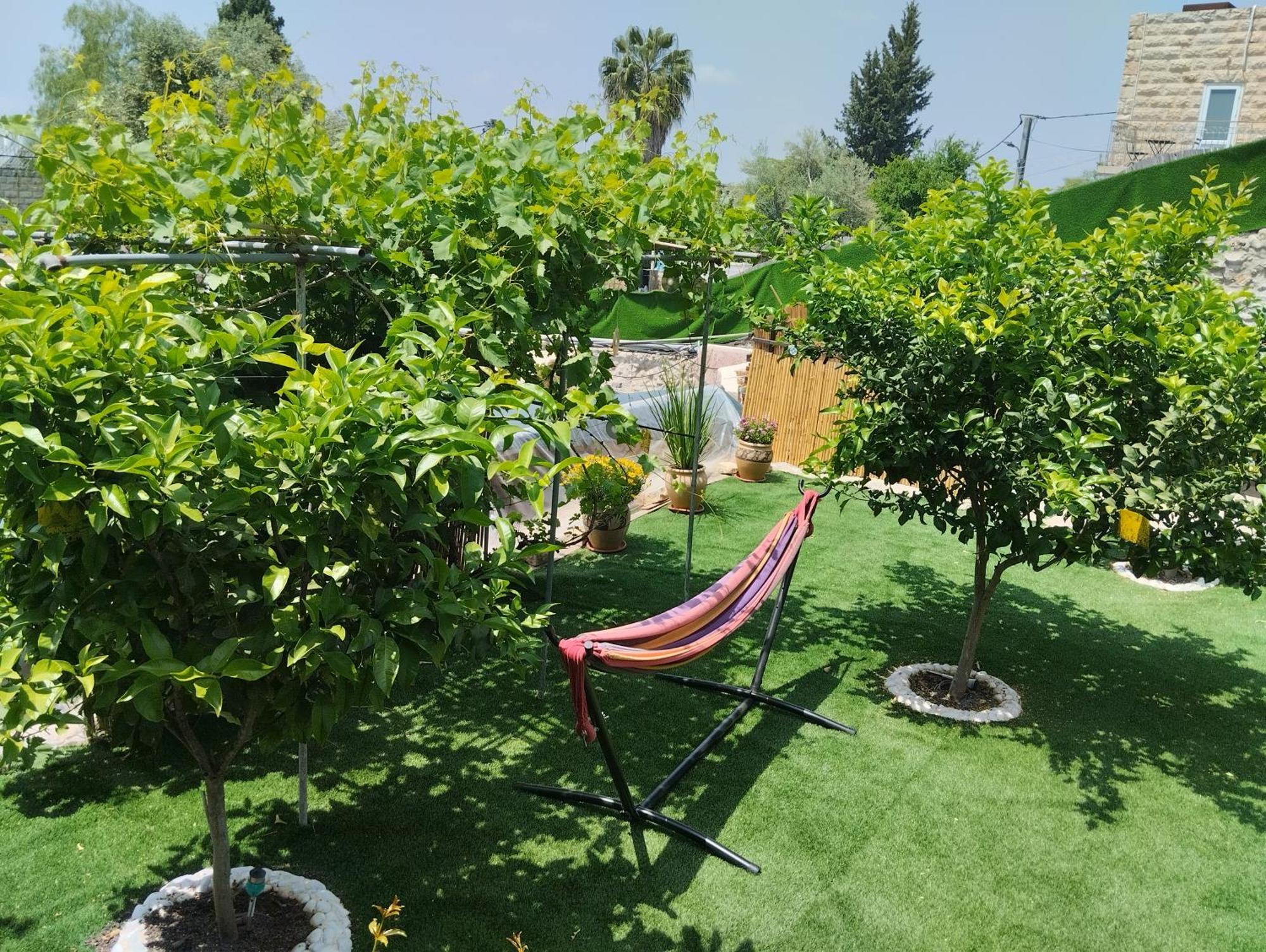 קסם עין כרם Apartment *